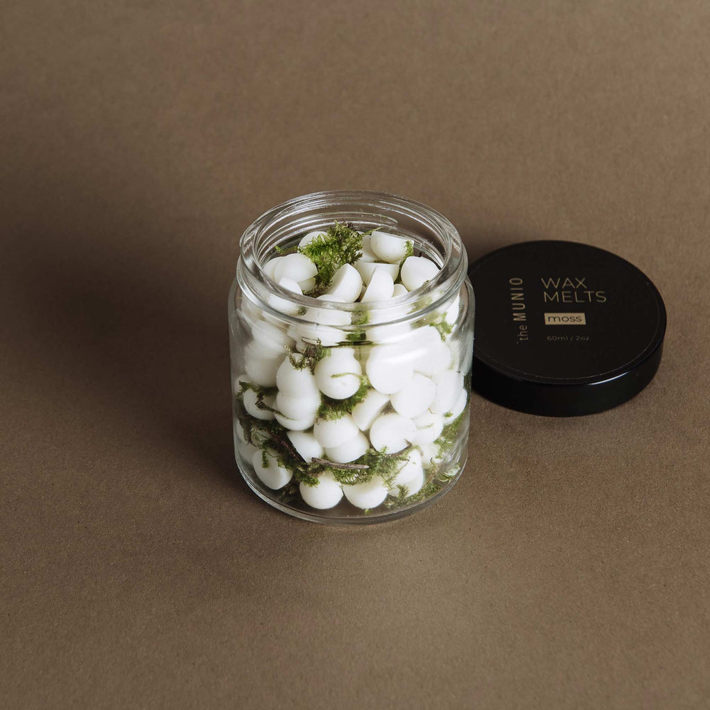 White Willow Moss 0.8 oz. Mini Hourglass Wax Melt